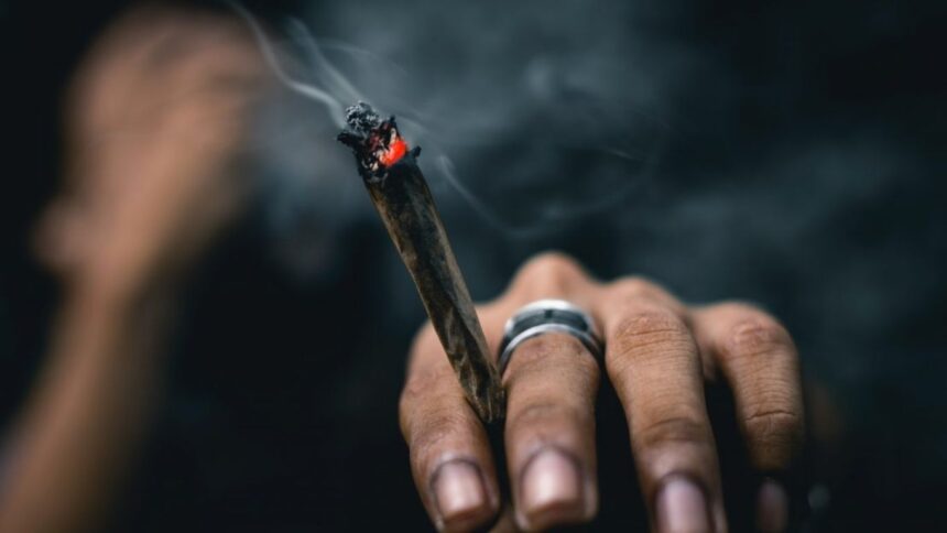 Attorney General to Respond in Case Seeking Marijuana Legalisation in Kenya