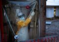 Seven Americans in Kenya Quarantine as Ebola Fears Grow Across the Region