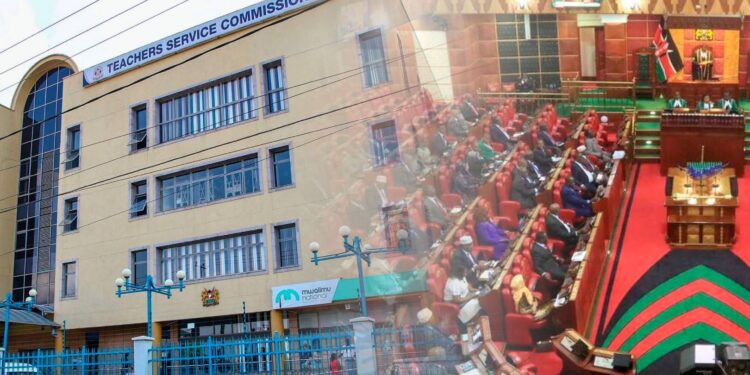 Education Stakeholders Want Parliament to Shield TSC From Political Interference