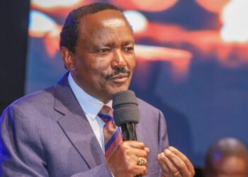 Kalonzo Drops Bombshell Warning to Opposition Leaders Over Ruto “Moles”