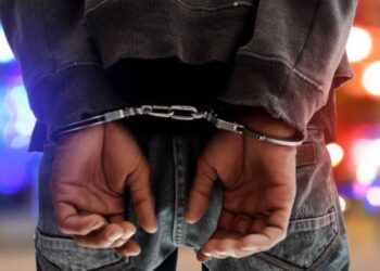 Drama at Ruto's State House: Man Arrested After Attempting to Force Entry