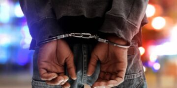 Drama at Ruto's State House: Man Arrested After Attempting to Force Entry