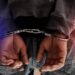Drama at Ruto's State House: Man Arrested After Attempting to Force Entry