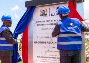 Kenyans Can Now Buy Dangote Shares as CMA Approves Landmark IPO Deal