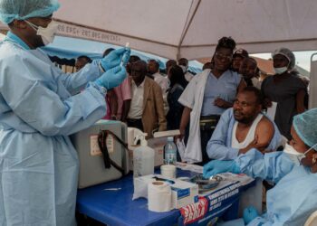 Ebola Cases in Kenya Increase to Eight: What the Ministry of Health Has Revealed